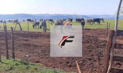 Fazenda à venda, 1149500 m² por R$ 7.500.000,00 - Bairro Rural - Manoel Ribas/PR