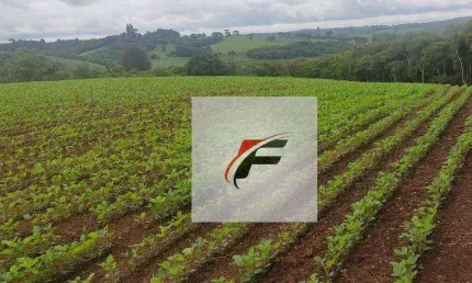 Chácara com 1 dormitório à venda, 137214 m² por R$ 1.300.000,00 - Colônia Balbino Cunha - Campo Largo/PR