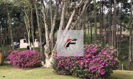 Chácara com 4 dormitórios à venda, 145200 m² por R$ 1.300.000 - Palmitalzinho - Quatro Barras/PR