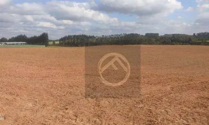 Terreno à venda, 174200 m² por r$ 28.000.000,00 - eucaliptos - fazenda rio grande/pr