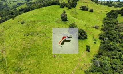 Sítio com 3 dormitórios à venda, 411400 m² por r$ 2.040.000,00 - zona rural - palmital/pr