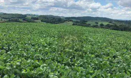 Terreno chácara à venda, 193600 m² por r$ 1.300.000 - água amarela - antônio olinto/pr