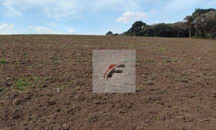 Fazenda à venda, 695266 m² por R$ 2.800.000,00 - Zona Rural - Quitandinha/PR
