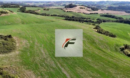Fazenda à venda, 1476200 m² por R$ 15.738.000 - Centro - Roncador/PR