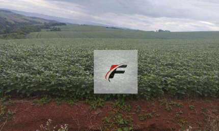 Fazenda com 3 dormitórios à venda, 871200 m² por R$ 11.263.500,00 - Centro - Guarapuava/PR