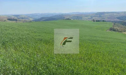 Fazenda à venda, 3678400 m² por r$ 39.600.000 - zona rural - palmital/pr