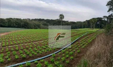 Terreno à venda, 21000 m² por r$ 4.490.000 - umbará - curitiba/pr