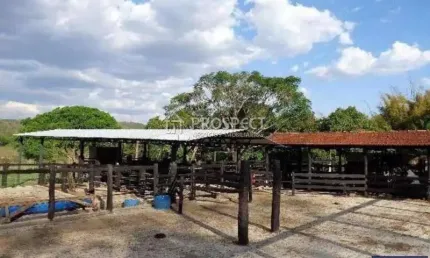 Fazenda Próximo Uberaba/Uberlândia - 218 HA (OPORTUNIDADE)