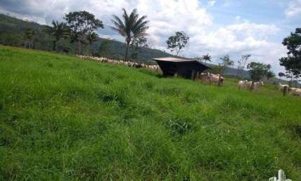 Fazenda à venda na Maria De Lourdes, S/N, Paranorte, Juara