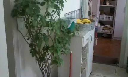 Apartamento com 3 quartos à venda na Rua Senador Fláquer, Centro, Santo André