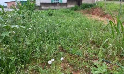 Terreno à venda na Rua João de Barro, Arroio da Manteiga, São Leopoldo por R$ 159.000