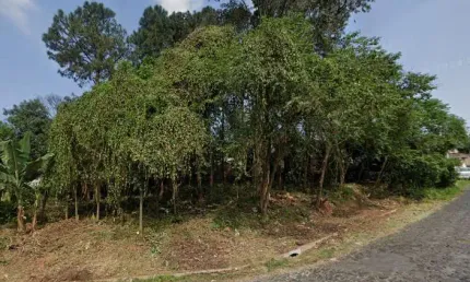 Terreno à venda na Rua Alberto Adolpho Fruchtenicht, Campestre, São Leopoldo por R$ 206.000