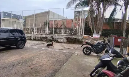 Apartamento com 2 quartos para alugar no Pasqualini, Sapucaia do Sul 