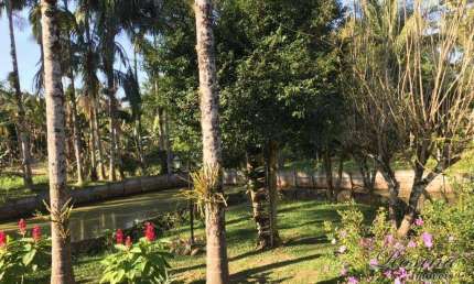 Chácara / sítio com 3 quartos à venda na ENDEREÇO NÃO INFORMADO, Sambaqui, Morretes, 24788 m2 por R$ 799.000