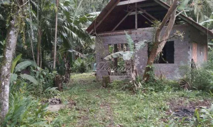 Chácara / sítio com 2 quartos à venda na ENDEREÇO NÃO INFORMADO, Rio do Nunes, Antonina, 48 m2 por R$ 375.000