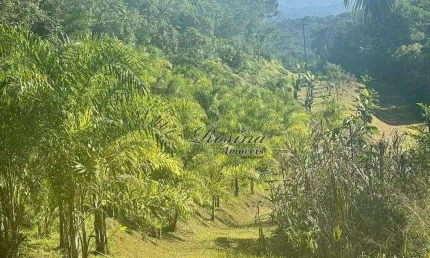 Terreno à venda na endereço não informado, colônia sesmaria, morretes, 20000 m2 por r$ 200.000
