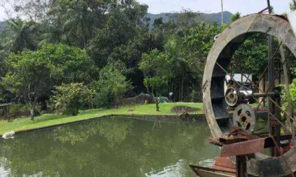 Chácara / sítio com 3 quartos à venda na ENDEREÇO NÃO INFORMADO, Rio Sagrado, Morretes, 6200 m2 por R$ 470.000