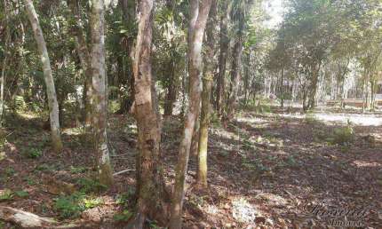 Terreno à venda na ENDEREÇO NÃO INFORMADO, Sambaqui, Morretes, 23505 m2 por R$ 289.000