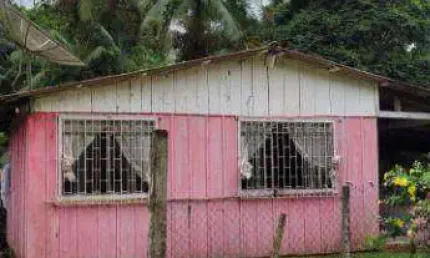 Chácara / sítio com 2 quartos à venda na ENDEREÇO NÃO INFORMADO, Rio Sagrado, Morretes, 70 m2 por R$ 215.000