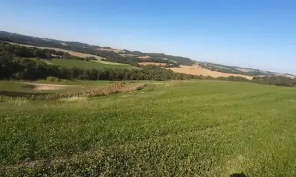LINDO SITIO 5 ALQUERES E MEIO, 133 MIL M², A 4 KM DA RODOVIA DO XISTO, MARIENTAL CONTENDA COM CASA 120M², A 210 MIL POR ALQUEIRES FN 99864-4995
