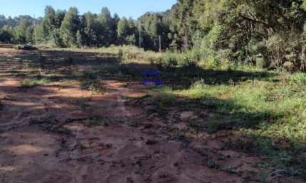 CHÁCARA 6.711M² COM LUZ E ÁGUA ENCANADA, A 800MT DO ASFALTO, MANDIRITUBA, FN 99864-4995 OU 99904 0460
