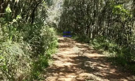 ÁREA DE 20.MIL M² ESCRITURADA E REGISTRADA, SÓ 179 MIL, DÁ FINANCIAMENTO. PROX ALSFALTO, ANTES DE MARIENTAL, FN 041 99864-4995