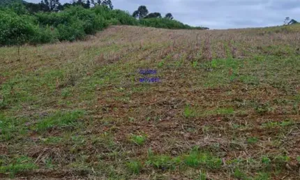 Área total:  5 alqueires e 21 litros.  Área de lavoura: 4 alqueires e 20 litros. Aproveitamento de 100% descontado a reserva obrigató Água abundante.