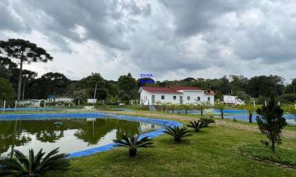 CHÁCARA 3/7 ALQUEIRES, ALTO PRODUTIVA, LAZER, CONFORTO E TRANQUILIDADE COM 1.500M² ESTUFA MORANGO, CASA ALVENÁRIA, PISCINA, TANQUES PEIXE PRODUZINDO,