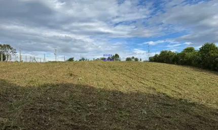 CHÁCARA 5.800M² ESCRITURADA E REGISTRADA, PROX ASFALTO, 1 KM DO COMÉRCIO, LIMPA, MECANIZADA, BOSQUE MÉDIA 800MT, LUZ, INTERNETE FN 41 99864-4995