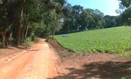 CHÁCARA 12 MIL M² CONTENDA DOCUMENTOS OK. ESCRITURA E REGISTRO, PLANTIO LAVOURA  FRENTE PARA ESTRADA STRUGAYA * CASINHA SIMPLES,   LUZ 220W