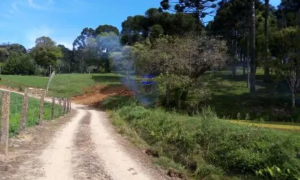 Chácara 7 milm², escriturada, aceita veiculo, estuda permuta ou parcelamento c/ proprietãrio, fica a 4 km da igreja são pedro e 11 km do asfalto