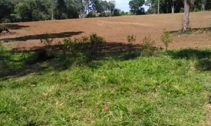 CHÁCARA DE 3 ALQUEIRES E 5 LITROS, COM CASA, 75.911M² LAPA, DOCUMENTADA POR 460 MIL FN 99864-4995