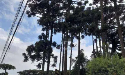 Terreno à venda, 2750 m² por R$ 1.800.000,00 - Boqueirão - Curitiba/PR