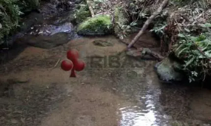 Fazenda à venda na Mato Preto, Mato Preto, Lapa, 12600 m2 por R$ 120.000