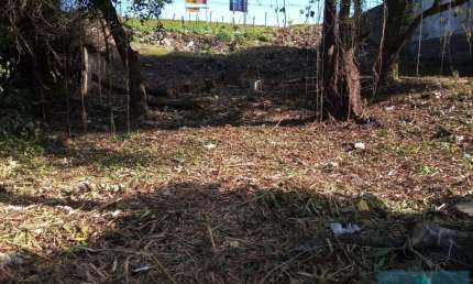 Terreno à venda na Rodovia Tapir Rocha, Viamópolis, Viamão
