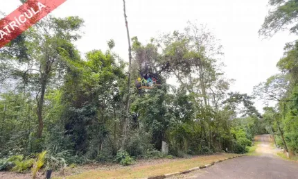 Terreno em condomínio fechado à venda no Feiticeira, Ilhabela 