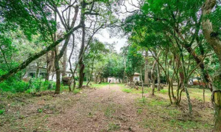 Terreno comercial para alugar na Avenida Coronel Marcos, Ipanema, Porto Alegre