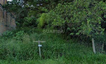 Terreno comercial para alugar na Estrada João Passuelo, Vila Nova, Porto Alegre