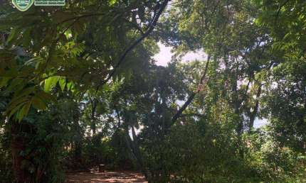 TERRENO - VENDA - Parque do Lago - Várzea Grande/MT