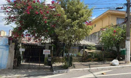 Terreno à venda, 272 m² por R$ 450.000,00 - Jardim Cidade Pirituba - São Paulo/SP