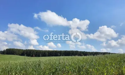 Fazenda à venda no Centro, Lapa , 1000 m2 por R$ 7.900.000