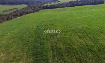 Fazenda à venda no Centro, Antônio Olinto  por R$ 3.000.000