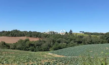 Terreno à venda no Serrinha, Contenda  por R$ 1.200.000