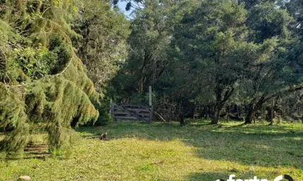 Chácara / sítio à venda no Guajuvira, Araucária  por R$ 990.000