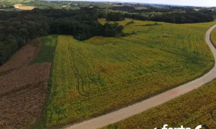 Chácara / sítio à venda no lagoa suja, araucária , 24200 m2 por r$ 650.000