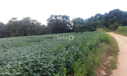 Chácara / sítio com 3 quartos à venda no Mariental, Lapa , 100 m2 por R$ 1.070.000