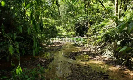 Chácara / sítio à venda no lagoa suja, araucária  por r$ 650.000