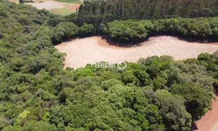 Chácara / sítio à venda no Rio Verde de Cima, Araucária  por R$ 600.000