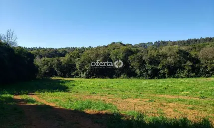 Chácara / sítio à venda no Rio Verde de Cima, Araucária  por R$ 550.000
