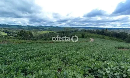 Terreno à venda no Mato Preto, Lapa  por R$ 335.000